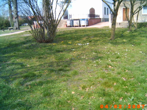 ../Images/TL Radis 07 LPIC0023.JPG